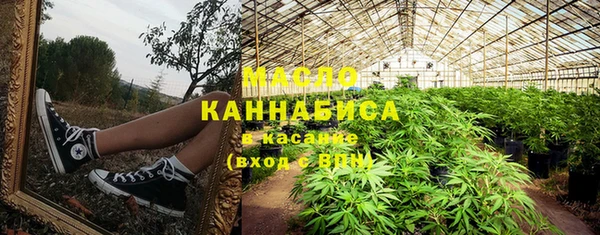 мдпв Бородино