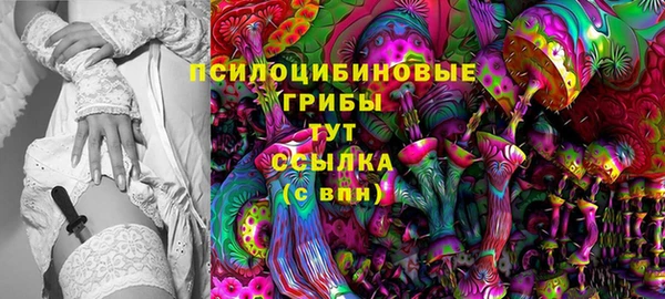 PSILOCYBIN Беломорск