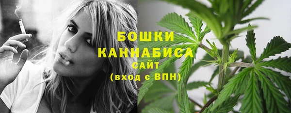 прущие грибы Белокуриха