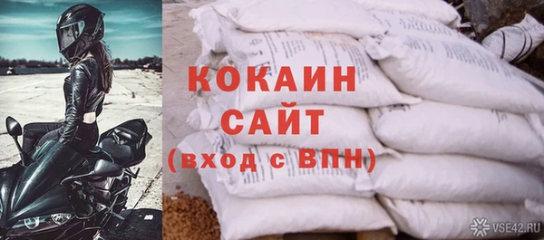 мдпв Бородино