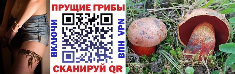 Галлюциногенные грибы ЛСД  Верея 